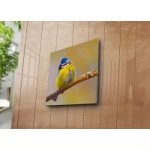 4545NAT-8 Multicolor Decorative Canvas Painting