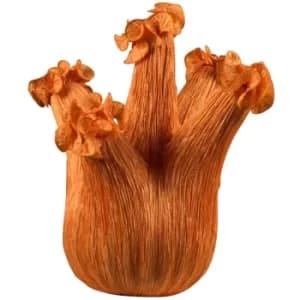 Linea Verdace Sweet Fennel Table Lamp Orange Silk