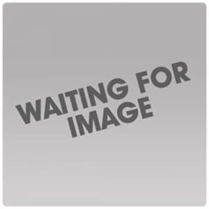 SIP 66377 Fine Felt Filter Bag for 01954/56