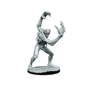 Critical Role Unpainted Miniatures (W1) Aeorian Nullifier