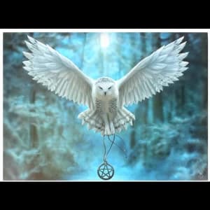 Large Awake Your Magic Canvas Picture by Anne Stokes