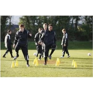 Precision Training Micro Training Cone Kit