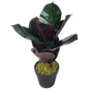 Artificial Rubber Plant 41cm