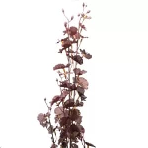 Deep Purple Dancing Orchid Stem