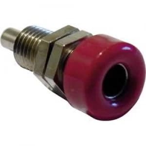 Jack socket Socket vertical vertical Pin diameter 4mm Red Sch