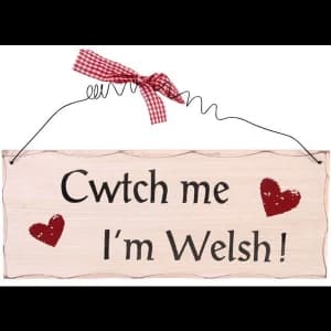 Cwtch Me I'm Welsh Hanging Sign