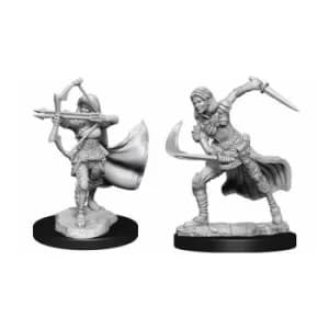 D&D Nolzur's Marvelous Unpainted Miniatures (W15) Air Genasi Female