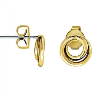 Ladies Calvin Klein Gold Plated Continue Earrings