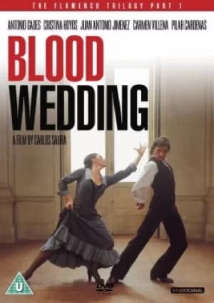 Blood Wedding (Bodas De Sangre) (DVD)