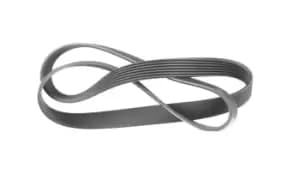 Bosch V-ribbed belt 1 987 947 995 Serpentine belt,Auxiliary belt VW,MERCEDES-BENZ,FORD,GOLF III (1H1),SHARAN (7M8, 7M9, 7M6),PASSAT Variant (3A5, 35I)