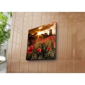 4545NAT-13 Multicolor Decorative Canvas Painting