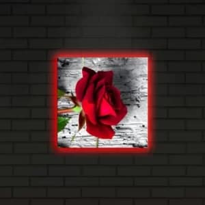 2828DACT-1 Multicolor Decorative LED Lighted Canvas Painting