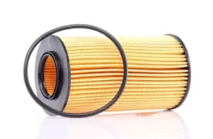 PURFLUX Oil filter BMW,LAND ROVER,ROVER L307 AC6201E,11422247018,1109T9 Engine oil filter GFE391,LRF100150,LRF100150L