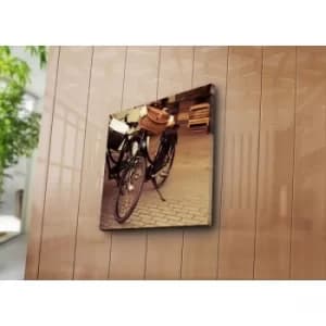 4545K-55 Multicolor Decorative Canvas Painting