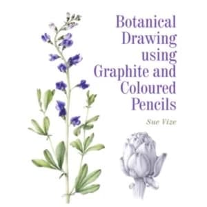Botanical Drawing Using Graphite and Coloured Pencils
