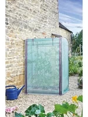 Smart Garden Tomato Grozone Max Cover