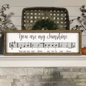 YBS036 Multicolor Decorative Framed MDF Painting