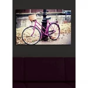 4570?ACT-21 Multicolor Decorative LED Lighted Canvas Painting