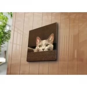 4545NAT-10 Multicolor Decorative Canvas Painting