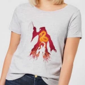 Harry Potter Dumbledore Voldemort Womens T-Shirt - Grey - 3XL