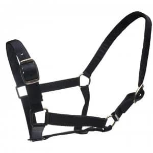 Roma Headcollar and Lead Rope Set - Navy