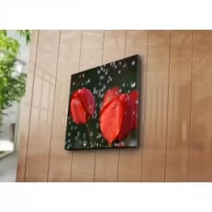 4545NAT-31 Multicolor Decorative Canvas Painting