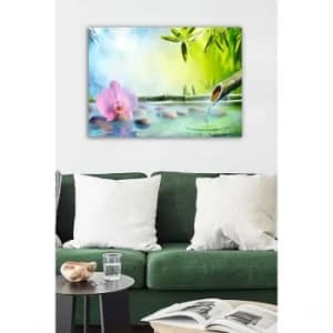 1119533147-5070 Multicolor Decorative Canvas Painting Flower & Stones