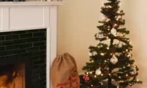 Artificial Christmas Tree: Silver/60cm