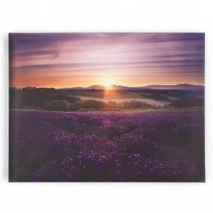 Graham and Brown Lavender Sunset Wall Art