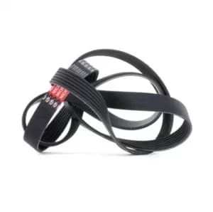 GATES Poly V-Belt AUDI,VW,RENAULT 6PK1685 078903137F,11287795601,55581761 Ribbed Belt,V Ribbed Belt,Multi V Belt,Poly Belt,V-Ribbed Belts 55597382