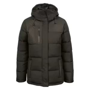 Clique Womens/Ladies Colorado Padded Jacket (L) (Dark Grey)