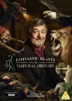 Fantastic Beasts A Natural History - DVD