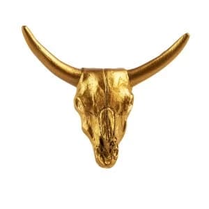 Sass & Belle Buffalo Desert Skull Brass Effect Drawer Knob