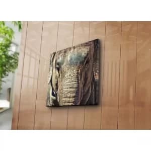 4545NAT-3 Multicolor Decorative Canvas Painting