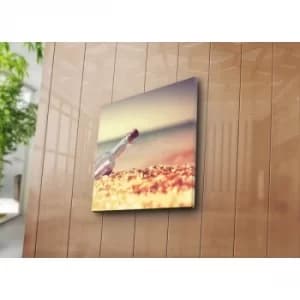 4545K-51 Multicolor Decorative Canvas Painting