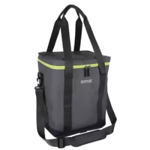 Regatta Glacio 20L Cooler Bag (One Size) (Lead Grey)