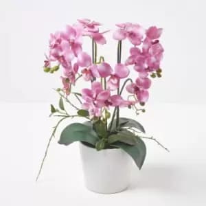 Homescapes - Pink Orchid 54cm Phalaenopsis in Ceramic Pot Extra Large, 5 Stems - Pink & White