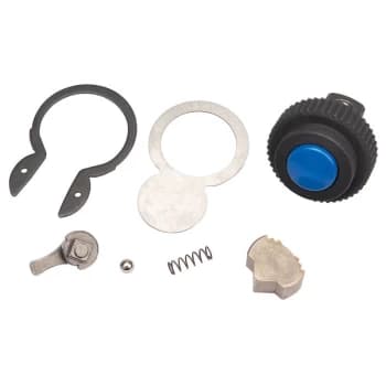Ratchet Repair Kit for 02595 and 43668 - 09934 - Draper