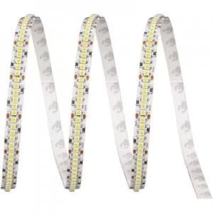 ledxon LED strip solder lugs 24 V 2.5cm Neutral white LFBHL SW840 24V 6S42 20 9009102