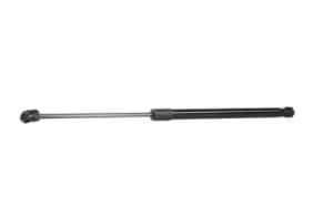 RIDEX Tailgate strut MERCEDES-BENZ 219G0187 1697400045,1697400345,A1697400045 A1697400345