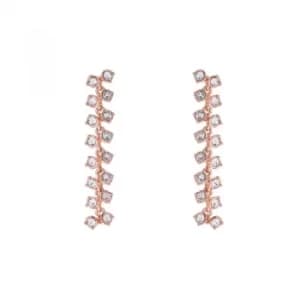 Ted Baker Ladies Elecia Princess Sparkle Drop Earring