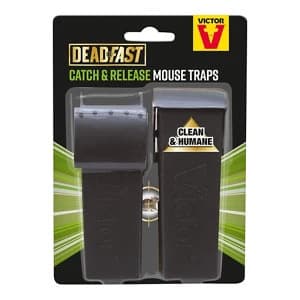 Deadfast Mouse Live catch Bait station Pack of 2