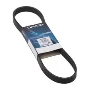 DAYCO V-ribbed belt PEUGEOT,CITROEN,DS 6PK905S 038903137,11287566789,11287571377 75343998003,75343998004,75667898001,75667898002,75713778001,5750RG