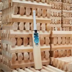 Gunn And Moore and Moore Diamond 606 Cricket Bat Juniors - White