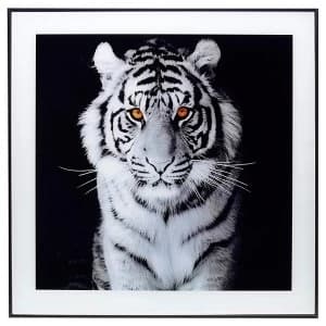 Decor Picture Square Large Tiger Amber