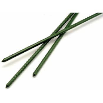 Garden Stake Single 3ft (8mm x 900mm) - AGS900 - Ambassador