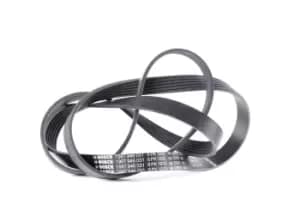 Bosch V-ribbed belt 1 987 946 031 Serpentine belt,Auxiliary belt BMW,OPEL,RENAULT,3 Touring (E91),3 Limousine (E90),1 Schragheck (E87),3 Coupe (E92)