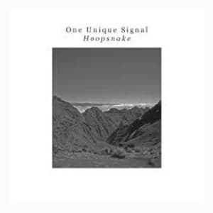 One Unique Signal - Hoopsnake Vinyl