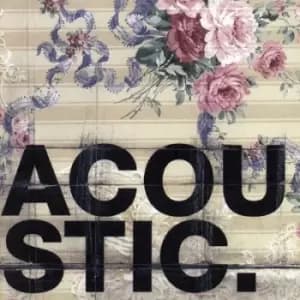 Acoustic. / Various - Acoustic CD Album - Used