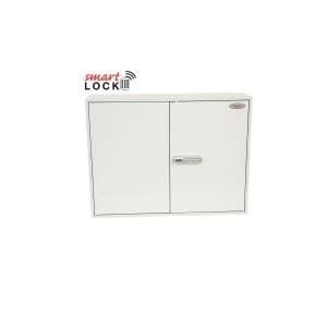 Phoenix Commercial Key Cabinet KC0607N 600 Hook with Net Code